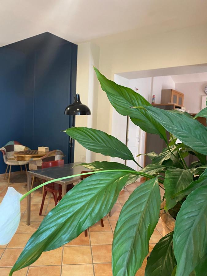 L'Atelier B&B Bedoin Luaran gambar